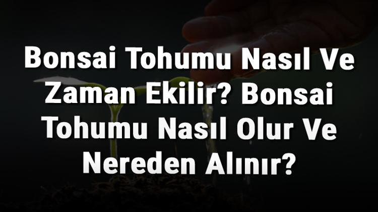 Bonsai Tohumu Nasıl Ve Zaman Ekilir? Bonsai Tohumu Nasıl Olur Ve Nereden Alınır?