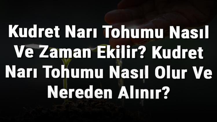 Kudret Narı Tohumu Nasıl Ve Zaman Ekilir? Kudret Narı Tohumu Nasıl Olur Ve Nereden Alınır?