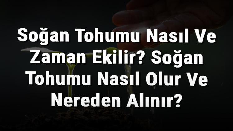 Soğan Tohumu Nasıl Ve Zaman Ekilir? Soğan Tohumu Nasıl Olur Ve Nereden Alınır?