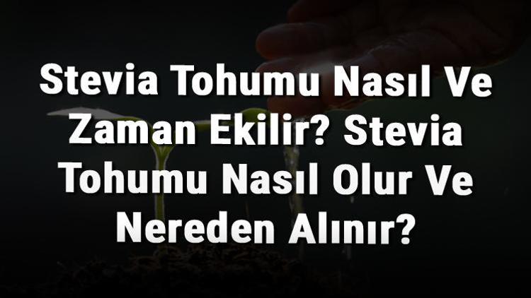 Stevia Tohumu Nasıl Ve Zaman Ekilir? Stevia Tohumu Nasıl Olur Ve Nereden Alınır?