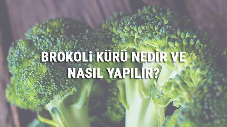 Brokoli Kürü Nedir Ve Nasıl Yapılır Brokoli Kürü Faydaları Ve Tarifi