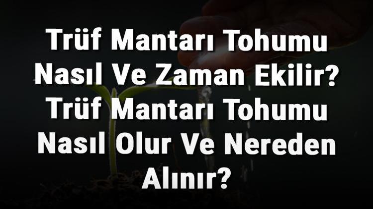 Trüf Mantarı Tohumu Nasıl Ve Zaman Ekilir Trüf Mantarı Tohumu Nasıl Olur Ve Nereden Alınır