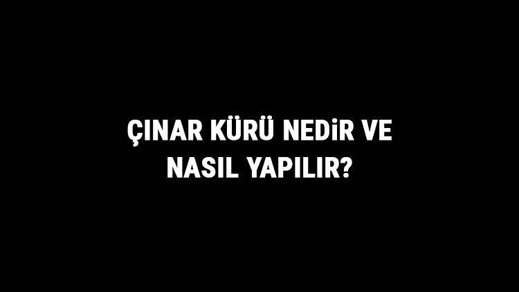 Çınar Kürü Nedir Ve Nasıl Yapılır? Çınar Kürü Faydaları Ve Tarifi