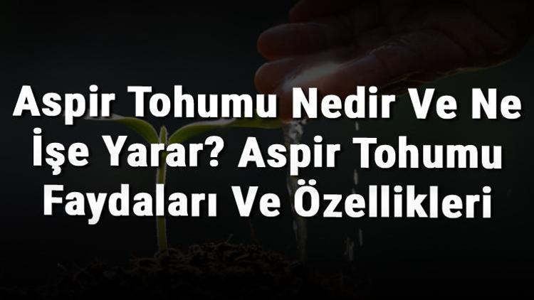 Aspir Tohumu Nedir Ve Ne İşe Yarar Aspir Tohumu Faydaları Ve Özellikleri