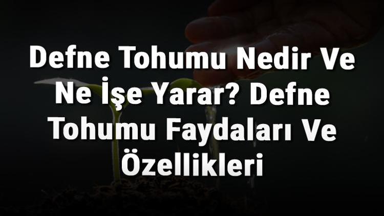 Defne Tohumu Nedir Ve Ne İşe Yarar? Defne Tohumu Faydaları Ve Özellikleri