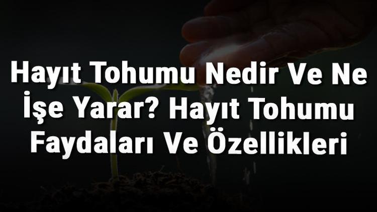 Hayıt Tohumu Nedir Ve Ne İşe Yarar Hayıt Tohumu Faydaları Ve Özellikleri