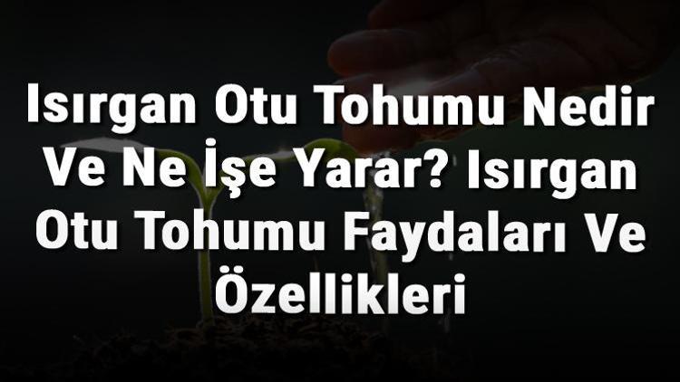 Isırgan Otu Tohumu Nedir Ve Ne İşe Yarar? Isırgan Otu Tohumu Faydaları Ve Özellikleri