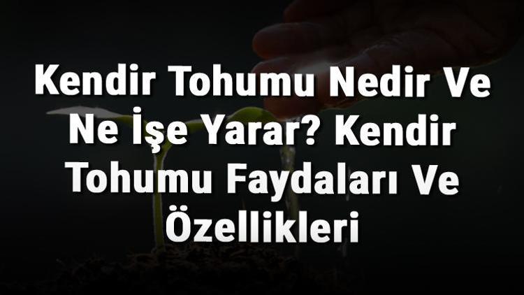 Kendir Tohumu Nedir Ve Ne İşe Yarar? Kendir Tohumu Faydaları Ve Özellikleri