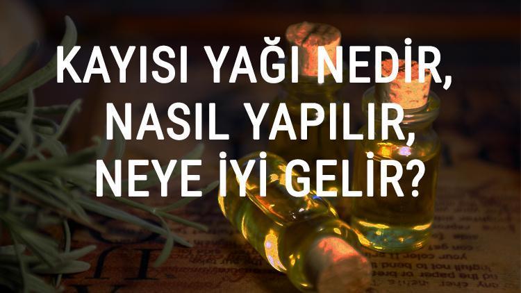 Kayısı Yağı Nedir, Nasıl Yapılır Ve Neye İyi Gelir Kayısı Yağı Faydaları Ve Kullanımı