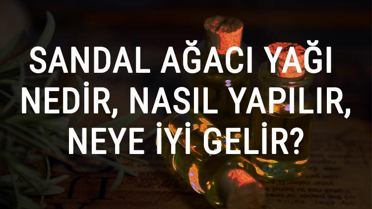 Sandal Ağacı Yağı Nedir, Nasıl Yapılır Ve Neye İyi Gelir Sandal Ağacı Yağı Faydaları Ve Kullanımı