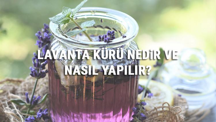 Lavanta Kürü Nedir Ve Nasıl Yapılır? Lavanta Kürü Faydaları Ve Tarifi