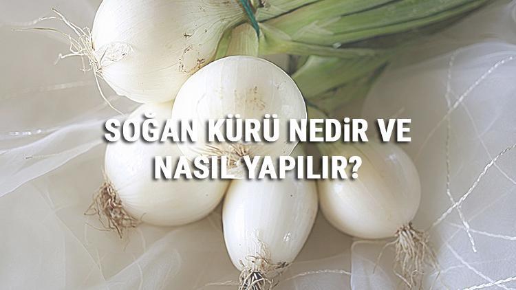 Soğan Kürü Nedir Ve Nasıl Yapılır Soğan Kürü Faydaları Ve Tarifi