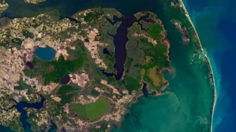 NASA yayınladı: Hayalet orman uzaydan görüntülendi