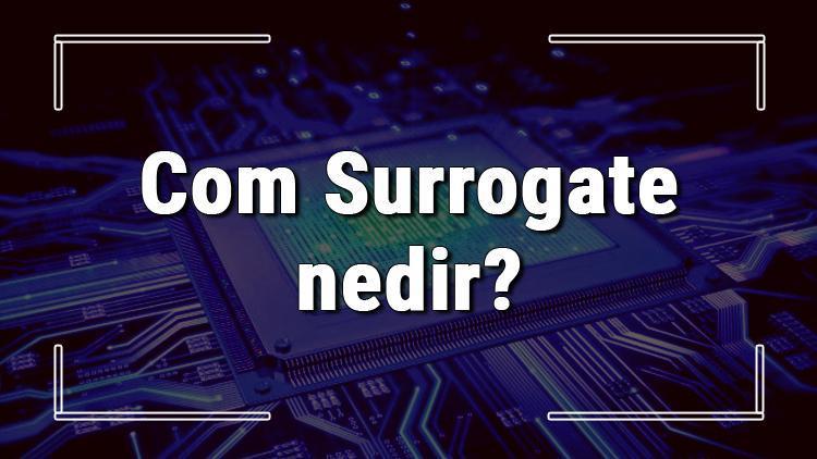 Com Surrogate nedir Görev Yöneticisindeki Com Surrogate (Dllhost.exe) virüs mü