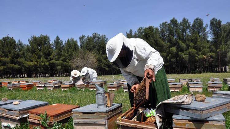 Mardinde üretiyorlar... Kendi işlerini kurdular, 3 elti birlikte yapıyor