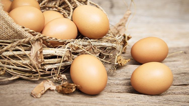 YUM-BİR Başkanı Afyon: Yumurtaya zam söz konusu değil