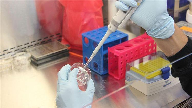 Sağlık Bakanlığı Halk Sağlığından İçişlerine Türkiyeye girişte PCR testi istenmeyecek ülkeler hakkında üst yazı