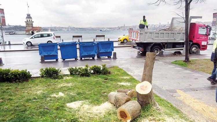 100’er ağaç cezası