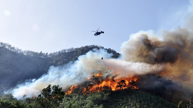 Antalyada orman yangınında küle dönmüştü 13 yılda yeşile büründü