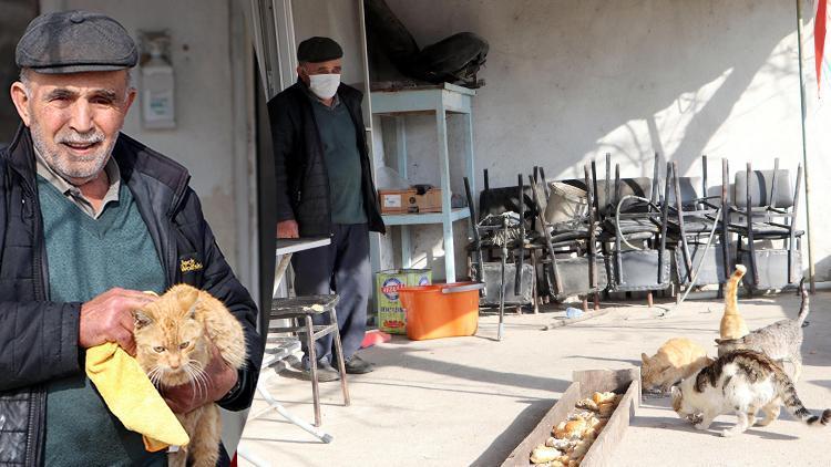 Salgında kapanan kahvehanesini sokak hayvanlarına açtı