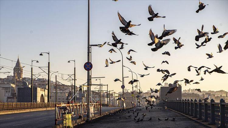 Sokağa çıkma kısıtlaması sona erdi