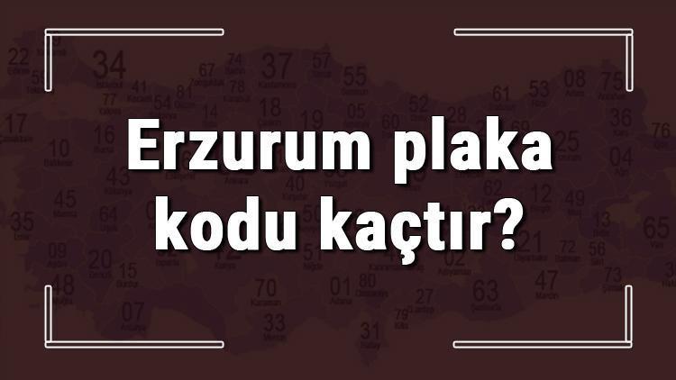 Erzurum plaka kodu kaçtır Erzurum ve ilçelerinin plaka harfleri