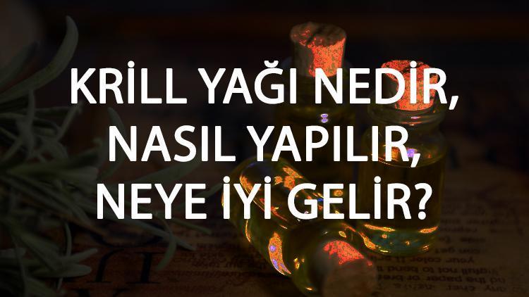 Krill Yağı Nedir, Nasıl Yapılır Ve Neye İyi Gelir Krill Yağı Faydaları Ve Kullanımı