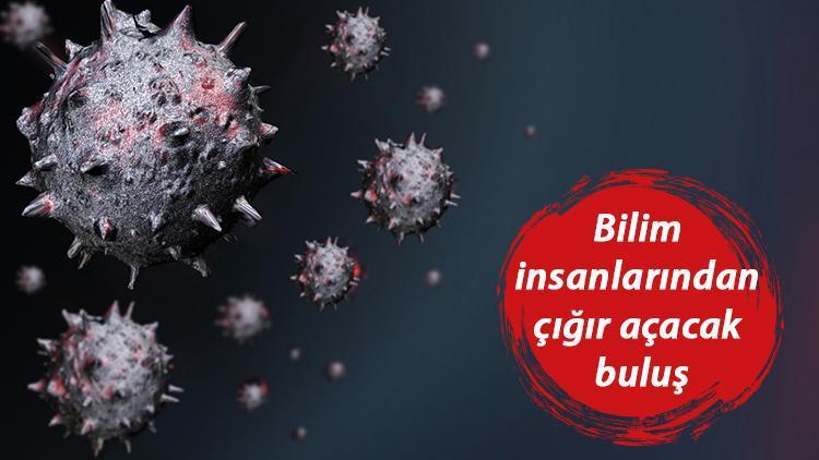 Bilim insanlarından büyük buluş: Kovid-19a nano tuzak