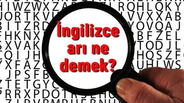 İngilizce arı ne demek Arı kelimesinin İngilizce yazılışı, okunuşu ve söylenişi