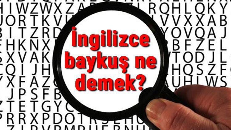 İngilizce baykuş ne demek Baykuş kelimesinin İngilizce yazılışı, okunuşu ve söylenişi