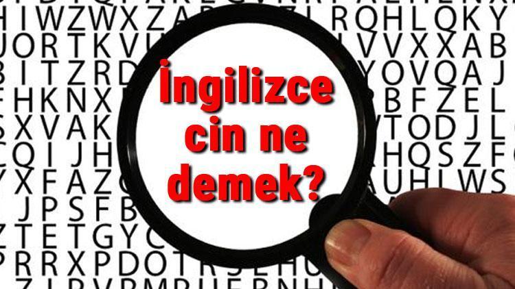 İngilizce cin ne demek Cin kelimesinin İngilizce yazılışı, okunuşu ve söylenişi