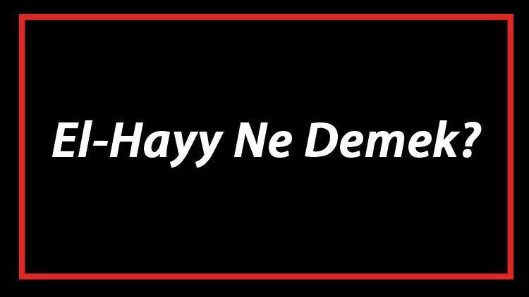 El-Hayy Ne Demek El Hayy Esması Türkçe Anlamı Ve Ya Hayy Zikrinin Fazileti İle Faydaları