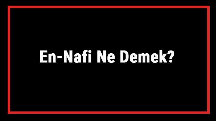 En-Nafi Ne Demek En Nafi Esması Türkçe Anlamı Ve Ya Nafi Zikrinin Fazileti İle Faydaları