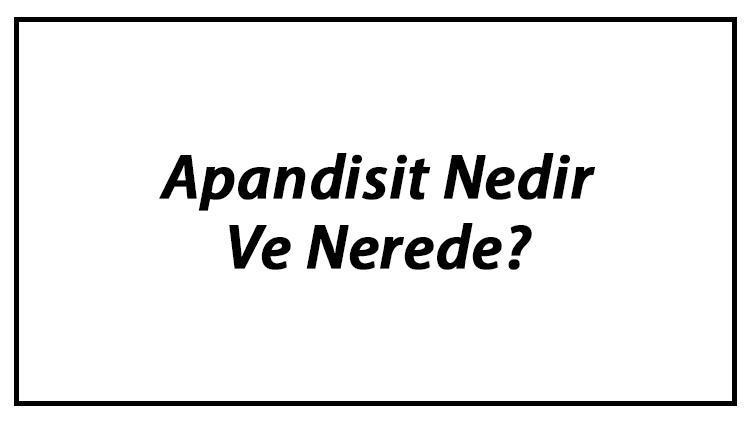 Apandisit Nedir Ve Nerede Apandisit Ne İşe Yarar Ve Görevleri Hakkında Bilgi