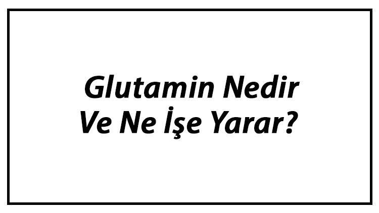 Glutamin Nedir Ve Ne İşe Yarar Glutamin Kullanımı, Yararları Ve Zararları Hakkında Bilgi