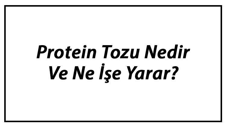 Protein Tozu Nedir Ve Ne İşe Yarar Protein Tozu Kullanımı, Yararları Ve Zararları Hakkında Bilgi