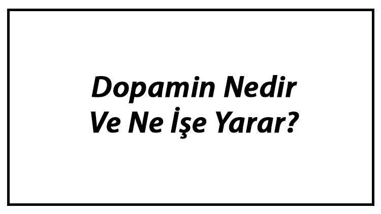 Dopamin Nedir Ve Ne İşe Yarar Dopamin Eksikliği Ne Gibi Sorunlar Oluşturur