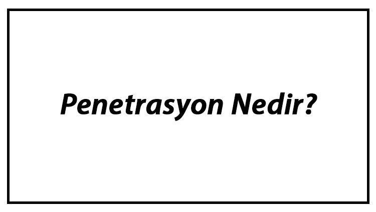 Penetrasyon Nedir Virüs Penetrasyon Adımları Hakkında Bilgi