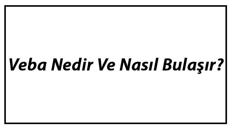 Veba Nedir Ve Nasıl Bulaşır Veba Nedenleri, Belirtileri Ve Tedavisi