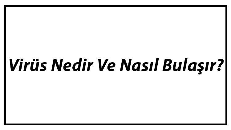 Virüs Nedir Ve Nasıl Bulaşır Virüslerin Özellikleri Hakkında Bilgi