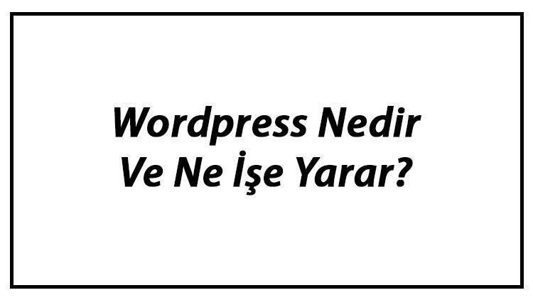 Wordpress Nedir Ve Ne İşe Yarar Wordpress Kurulumu Ve Kullanımı Hakkında Bilgi