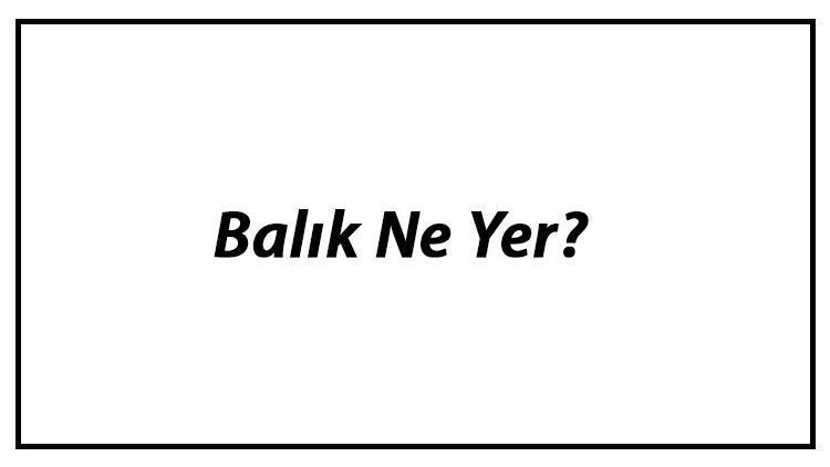 Balık Ne Yer Balıklar Nasıl Beslenir Ve En Çok Sevdiği Besinler Neler