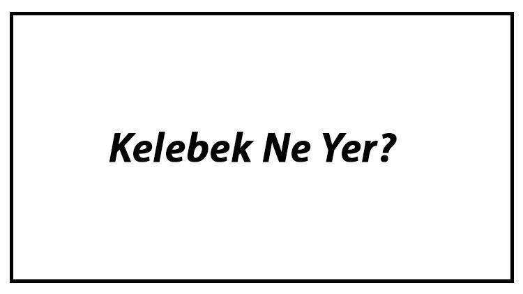 Kelebek Ne Yer Kelebekler Nasıl Beslenir Ve En Çok Sevdiği Besinler Neler