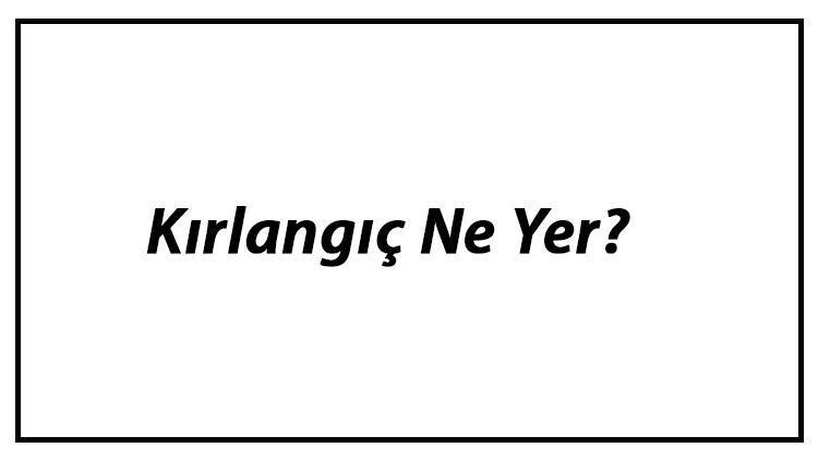 Kırlangıç Ne Yer Yavru Kırlangıçlar Nasıl Beslenir Ve Kırlangıçların En Çok Sevdiği Besinler Neler