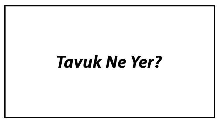 Tavuk Ne Yer Tavuklar Nasıl Beslenir Ve En Çok Sevdiği Besinler Neler