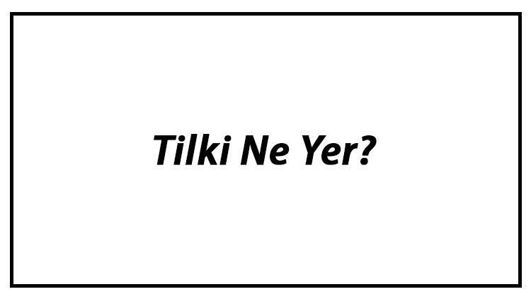 Tilki Ne Yer Tilkiler Nasıl Beslenir Ve En Çok Sevdiği Besinler Neler