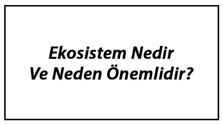 Ekosistem Nedir Ve Neden Önemlidir Ekosistemi Oluşturan Unsurlar Hakkında Bilgi