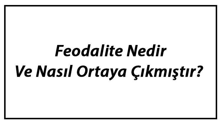 Feodalite Nedir Ve Nasıl Ortaya Çıkmıştır Feodalite Özellikleri Hakkında Bilgi