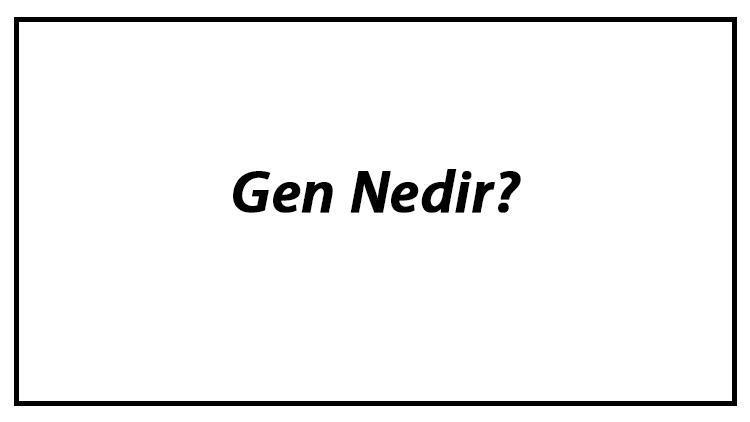 Gen Nedir Temel Gen Kavramları Nelerdir