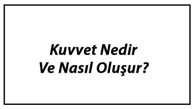 Kuvvet Nedir Ve Nasıl Oluşur Kuvvet Ne İle Ölçülür Kuvvet Çeşitleri Ve Birimi Hakkında Bilgi